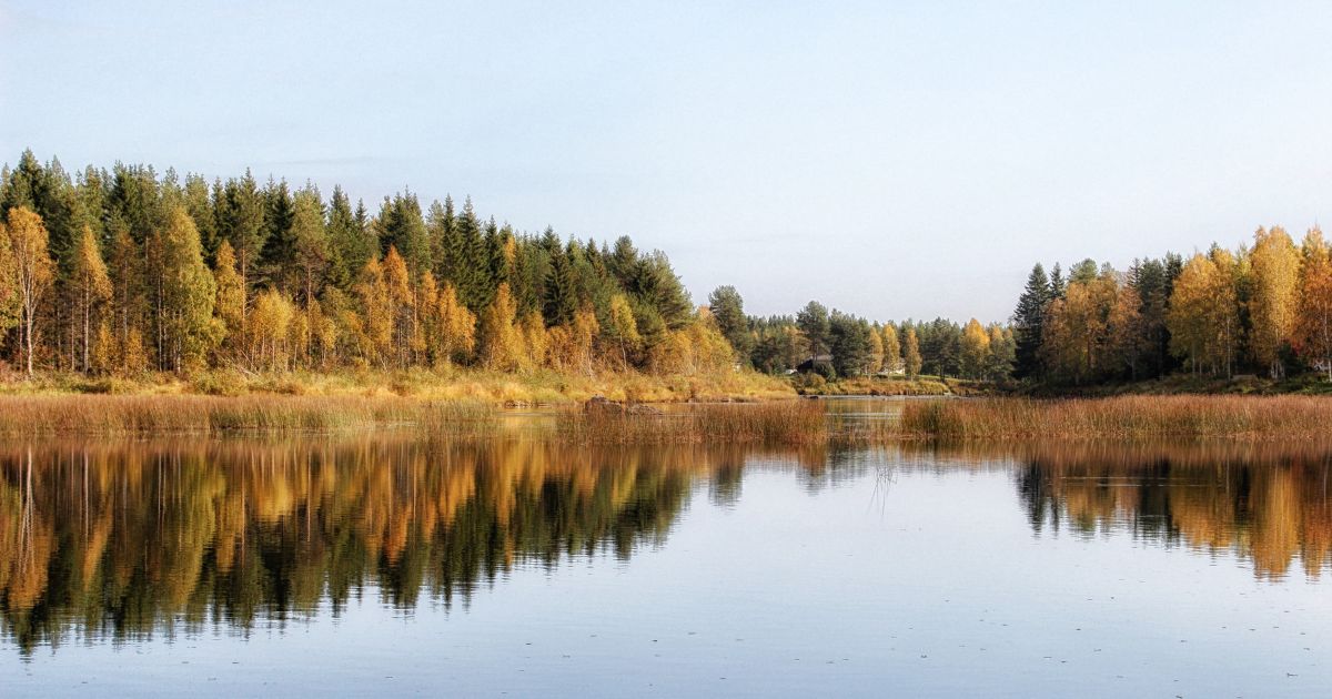 Alt="フィンランド　看護師"